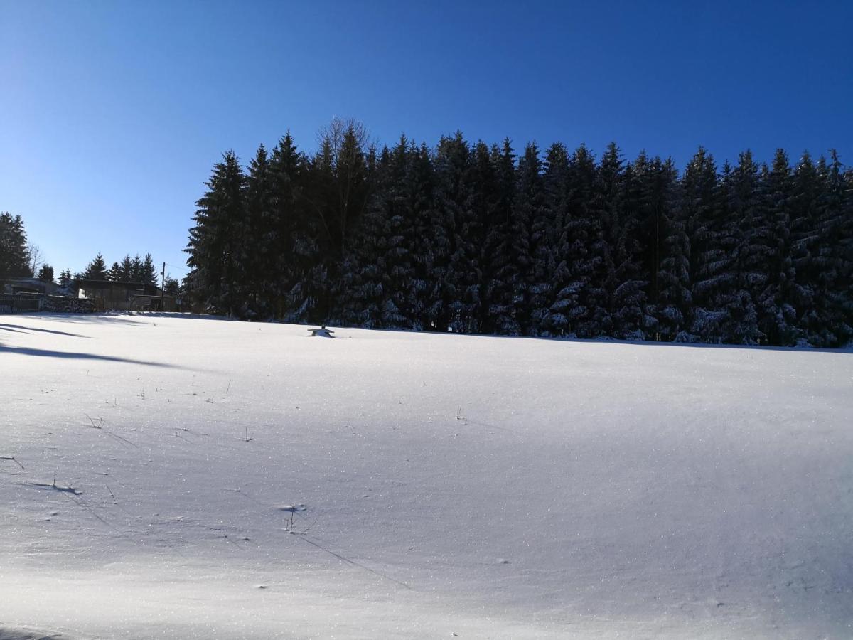 Ferienwohnungen 1 Bis 4 "Pumphut'S Scheune" Lengenfeld  Exteriör bild