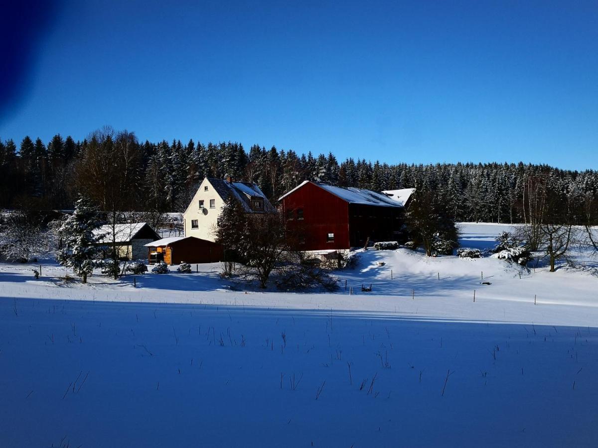 Ferienwohnungen 1 Bis 4 "Pumphut'S Scheune" Lengenfeld  Exteriör bild