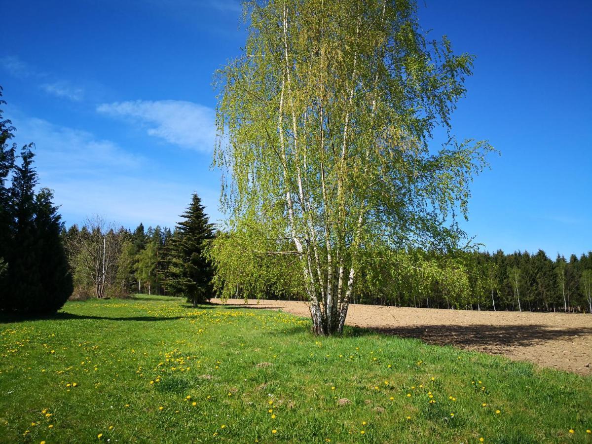 Ferienwohnungen 1 Bis 4 "Pumphut'S Scheune" Lengenfeld  Exteriör bild