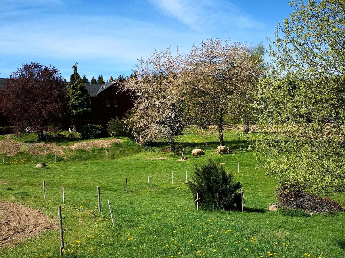 Ferienwohnungen 1 Bis 4 "Pumphut'S Scheune" Lengenfeld  Exteriör bild